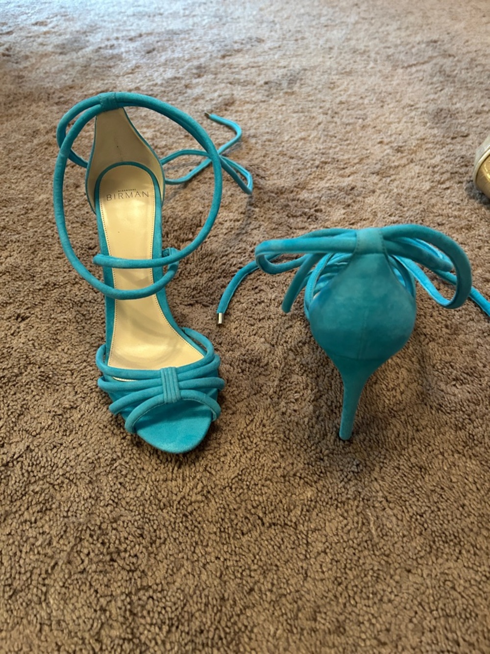 Alexander Birman Turquoise Lace-Up Suede Stiletto Sandals